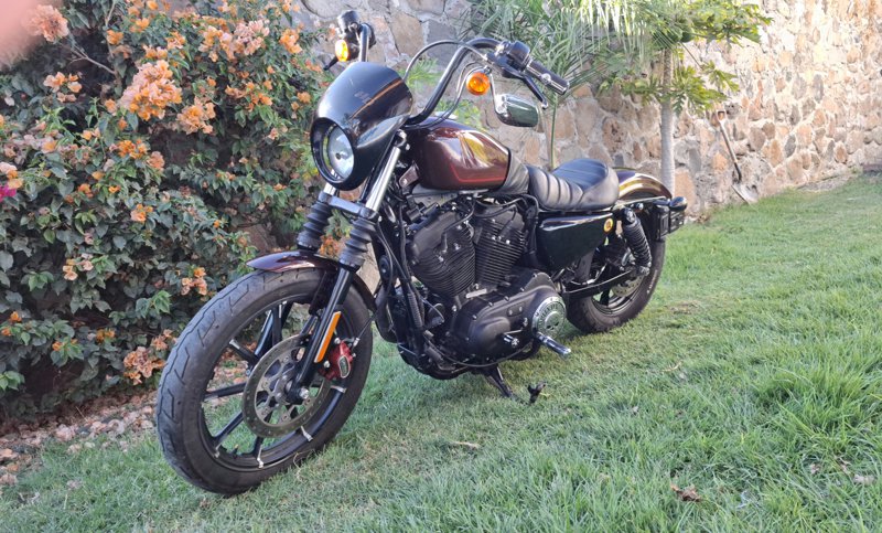 Harley Davidson - Iron