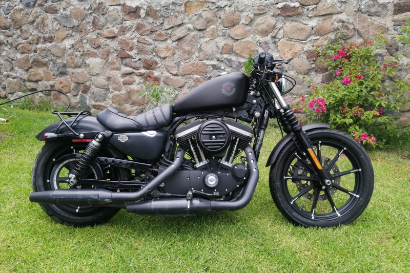 Harley Davidson - Iron