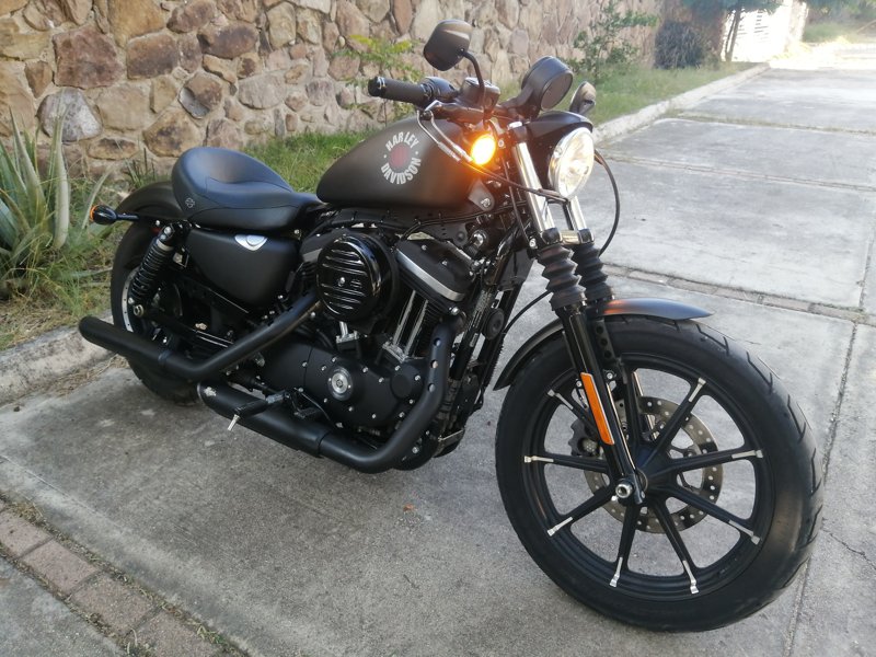 Harley Davidson - Iron