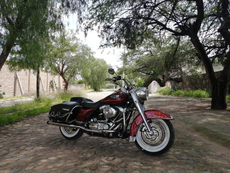 Harley Davidson - Roadking 100th