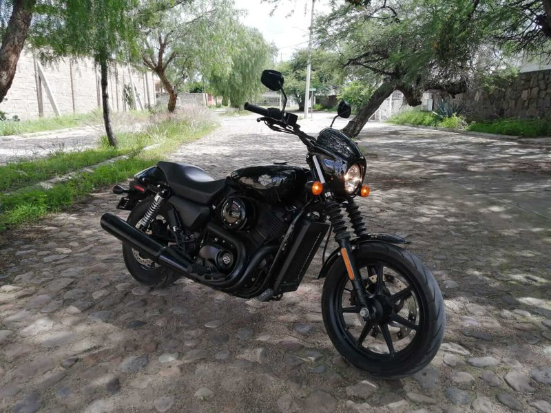 Harley Davidson - Street